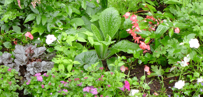 Perennial Gardens - Menomonie, Wisconsin