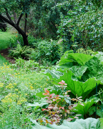 Garden Design Menomonie, Wisconsin