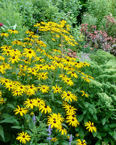 Garden Design Menomonie, Wisconsin