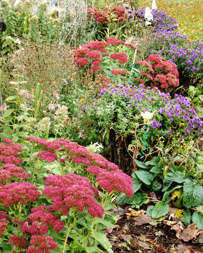 Garden Design Menomonie, Wisconsin