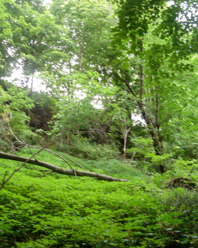 Garden Design Menomonie, Wisconsin