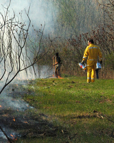 Garden Design Menomonie, Wisconsin